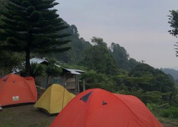 Pagi hari di area gazebo wilis (Foto: Penulis)