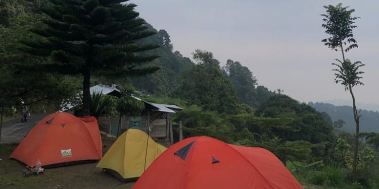Pagi hari di area gazebo wilis (Foto: Penulis)