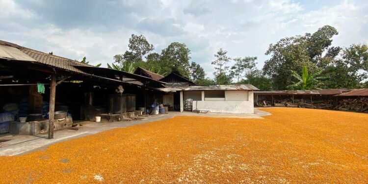 Foto oleh penulis di daerah Gabru Gurah, Kediri